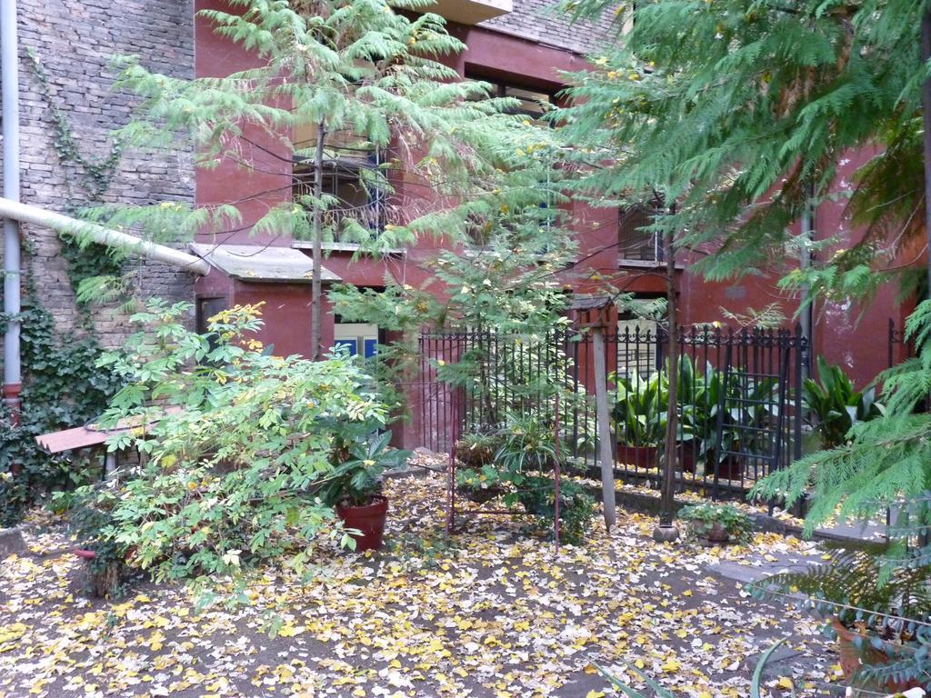 Plaza Catedral Hostel